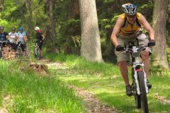 forrests_in_kocaba_valley_czech_bike_tours