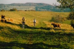 kocaba_bike_trip_czech_bike_tours-800x570